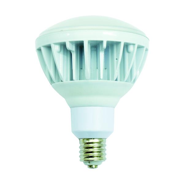 NICHIDO 投光器用LED交換球 ハイスペックエコビック40W E39 昼白色 本体白 L40V2-J110-50K