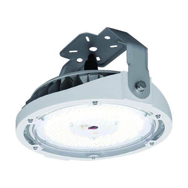 IRIS 273553 高天井用LED照明 直付タイプ 10000lm 昼白色 (5000) グレー LDRCL58N-110BS