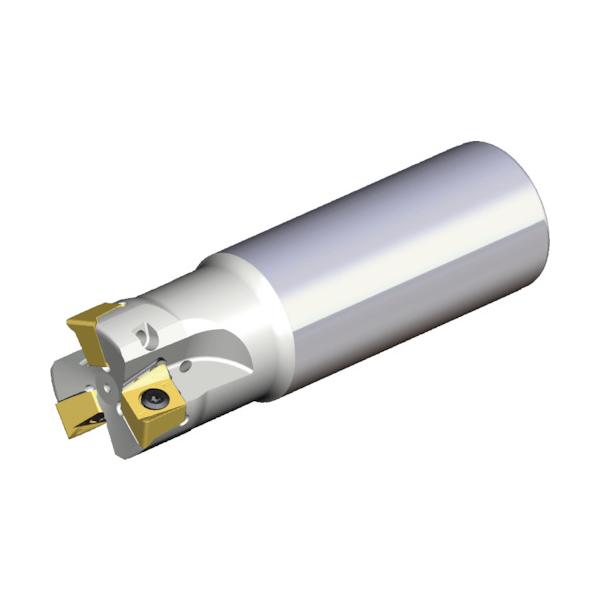 TAEGUTEC ミーリングカッター チェイス4ミル 4N TE90-332-W32-11