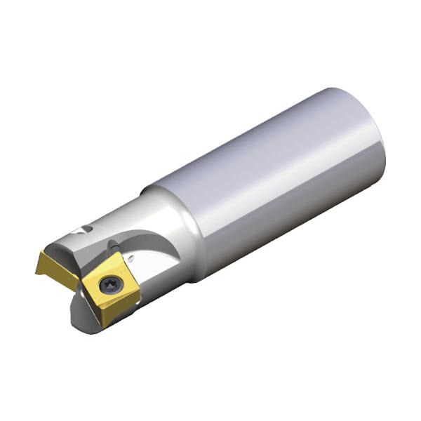 TAEGUTEC ミーリングカッター チェイス4ミル 4N TE90-340-32-14