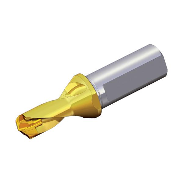 TAEGUTEC 刃先交換式ドリルホルダー ドリルラッシュ TCD 190-199-25T2-1.5D
