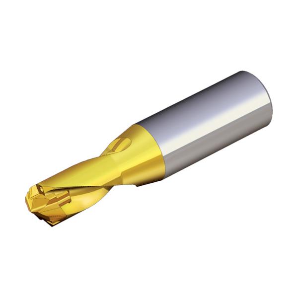 TAEGUTEC 刃先交換式ドリルホルダー ドリルラッシュ TCD 180-189-25S0-1.5D