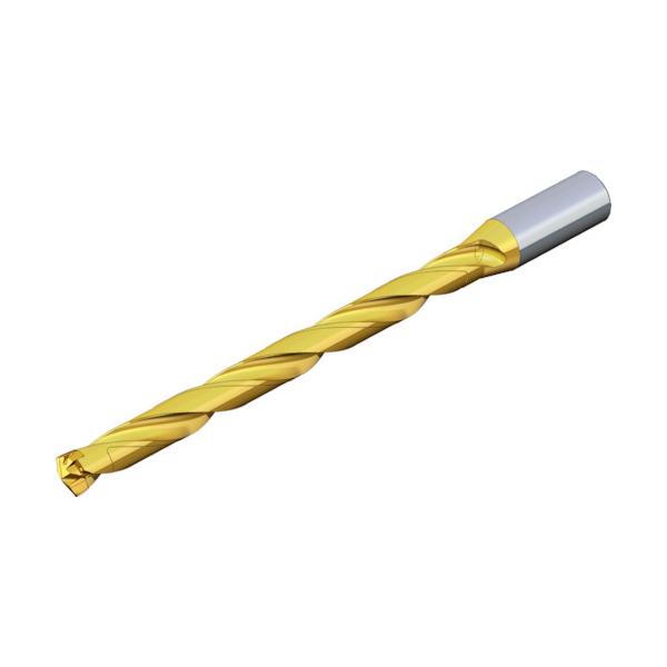TAEGUTEC 刃先交換式ドリルホルダー ドリルラッシュ TCD 230-239-32S0-12D