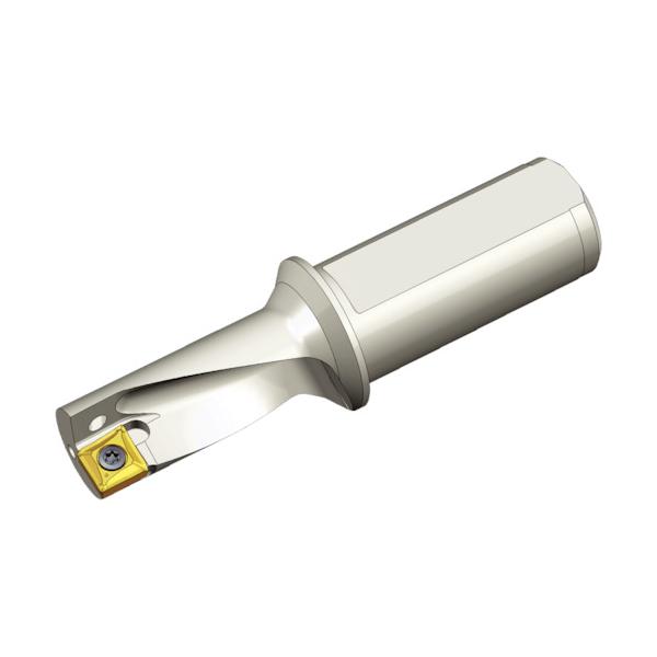 TAEGUTEC 刃先取り替えっこ式せん孔機保持者 とっ始め旗がしら TCAP 08R-2.25DN