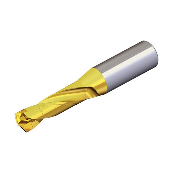 TAEGUTEC 刃先交換式ドリルホルダー ドリルラッシュ TCD 115-119-16S0-3D