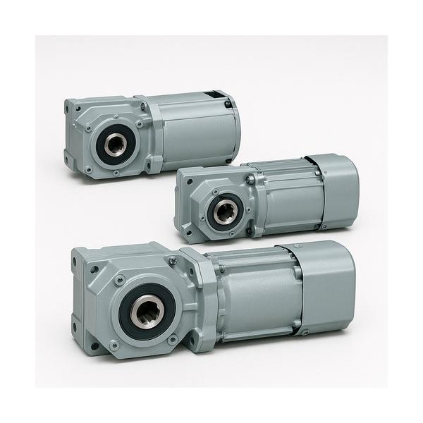 ニッセイ GTR MINI SERIESインダクションギアモータ(15W~90W) 同心中空軸 同心中実軸 F2タイプ F2SM-15-20-T90|工具の楽市