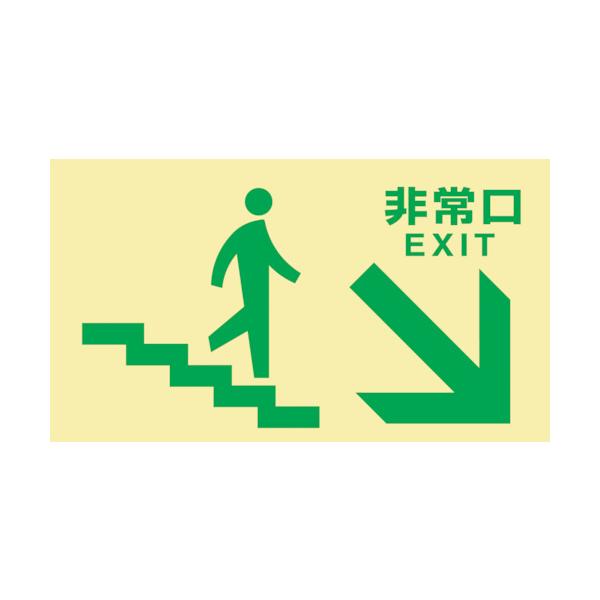 緑十字 高輝度蓄光避難誘導標識 非常口(階段右下) TKN109 130×230 東京都条例適合品 068049