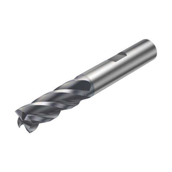 SANDVIK コロミルプルーラ 重節するフライス工業用超硬エンドミル(730) P2BM 2P342-1200-PB P2BM