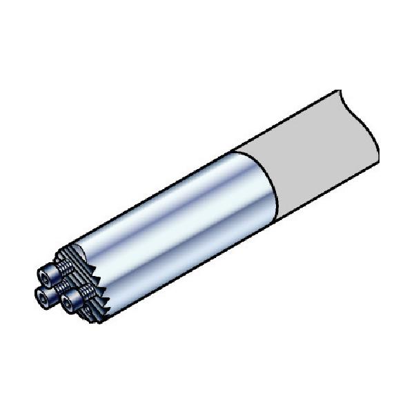 SANDVIK コロターンSL 防振突き抜く働き口(430) 570-3C 40 408≪店卸し資産境界線≫
