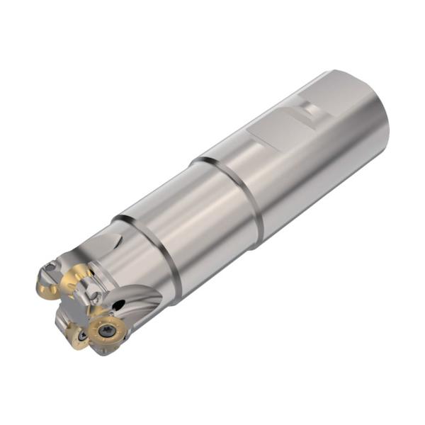セコ フライス 丸駒カッタ R217.29Iー05 R217.29I-3232.3-05.4.060A｜工具の楽市