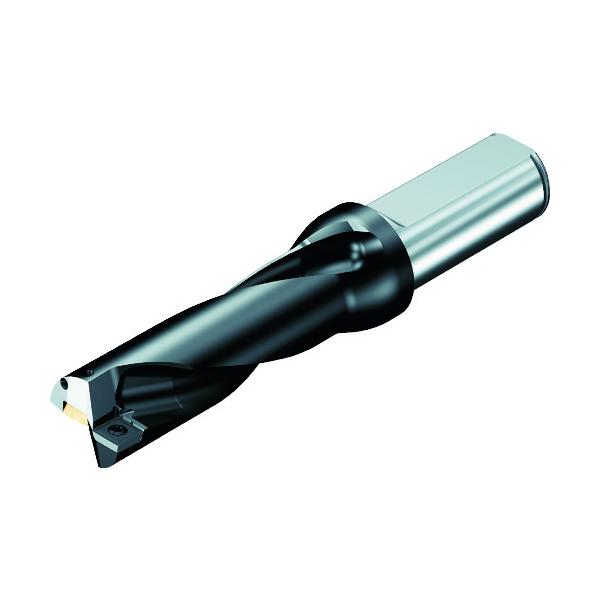 SANDVIK 刃先取り替えっこ式せん孔機 百貨店Uせん孔機(465) 880-D1200L20-02