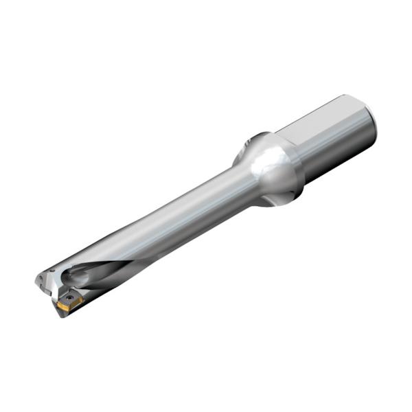 SANDVIK コロドリルDS20刃先取り替えっこ式せん孔機(465) DS20-D1700L20-05