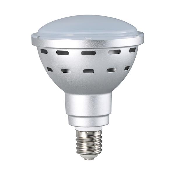 ハタヤ 45WLED白熱電球 LDR45N-H110
