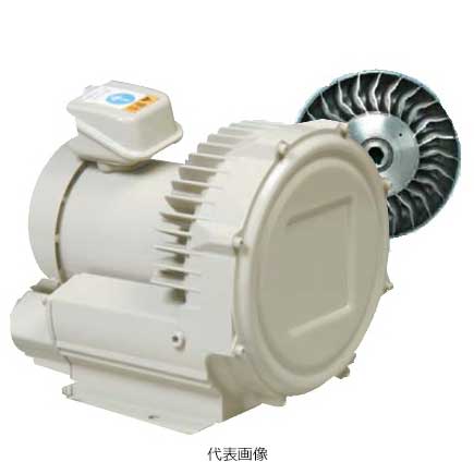 【代引き不可】【法人向け】☆日立産機 VB-003S-G2 ボルテックスブロワ Ｇシリーズ 単相100V 50Hz/60Hz 屋内全閉外扇形 (1973-5810) 【車上渡し】【返品不可】