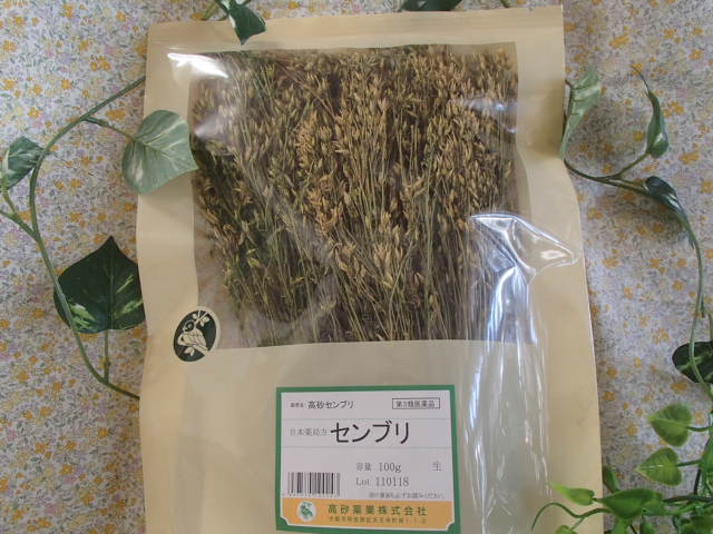※メール便発送 センブリ・生　100ｇ【高砂薬業】 【日本産】（ せんぶり ）