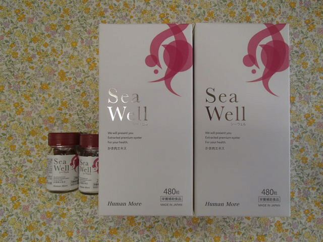 【期間限定おまけ付き】シーウェル480粒×2箱 SeaWell ヒューマンモア 牡蠣肉エキス|皇漢堂薬局店
