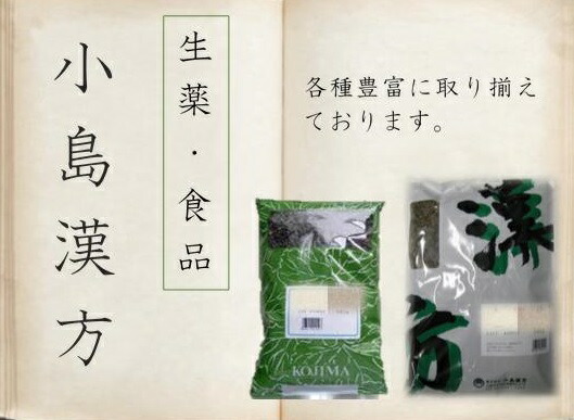 毛人蔘  生 500ｇ×６【小島】けにんじん ケニンジン ひげにんじん【日本産】