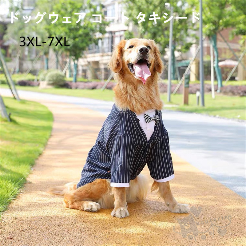 楽天市場 ペット用品 大型犬 犬服 ドッグウェア コート タキシード 大型犬 新郎 リボン ネックレス ストライプタ 結婚式 ウェディング お祝い 洋服 ドッグウェア 蝶ネクタイ付き 送料無料 Koutorin