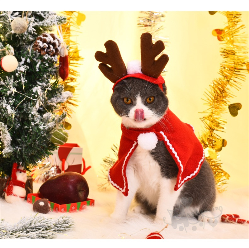 市場 ペット 猫用帽子 クリスマス飾り ペットスカーフ ネックスカーフ 2点セット ショール マフラー マント