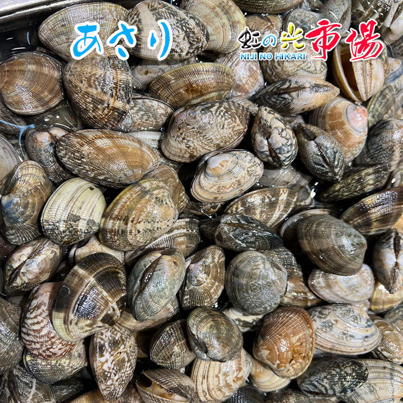 楽天市場】【大好評】生ウニ 小川のうに 約220~250g(一粒 約4cm-5cm