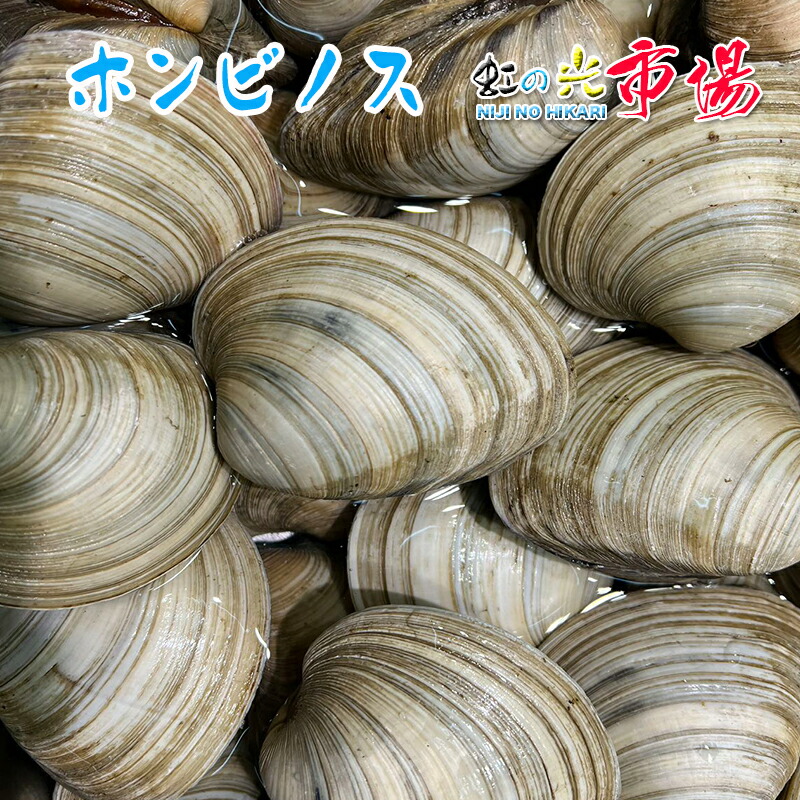 楽天市場】特上 アオヤギ 舌切 10p（1P 約60〜100g） あおやぎ 愛知産 バカガイ青柳 : 虹の光