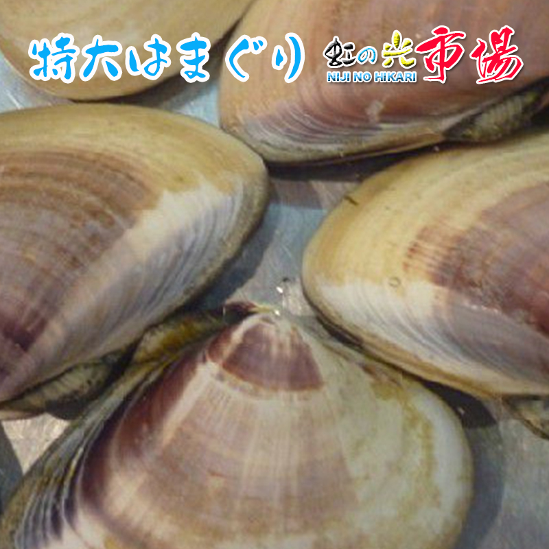 楽天市場】【大好評】生ウニ 小川のうに 約220~250g(一粒 約4cm-5cm) ロシア産＆北海道産 ２pセット : 虹の光