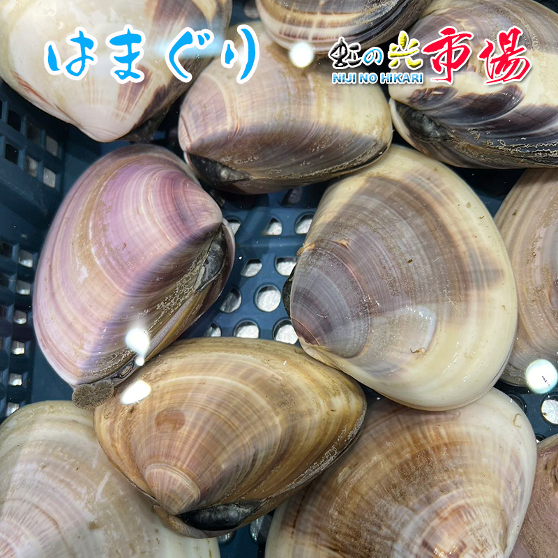 楽天市場】地はまぐり ２kg （２０個入）ハマグリ バーベキュー バター