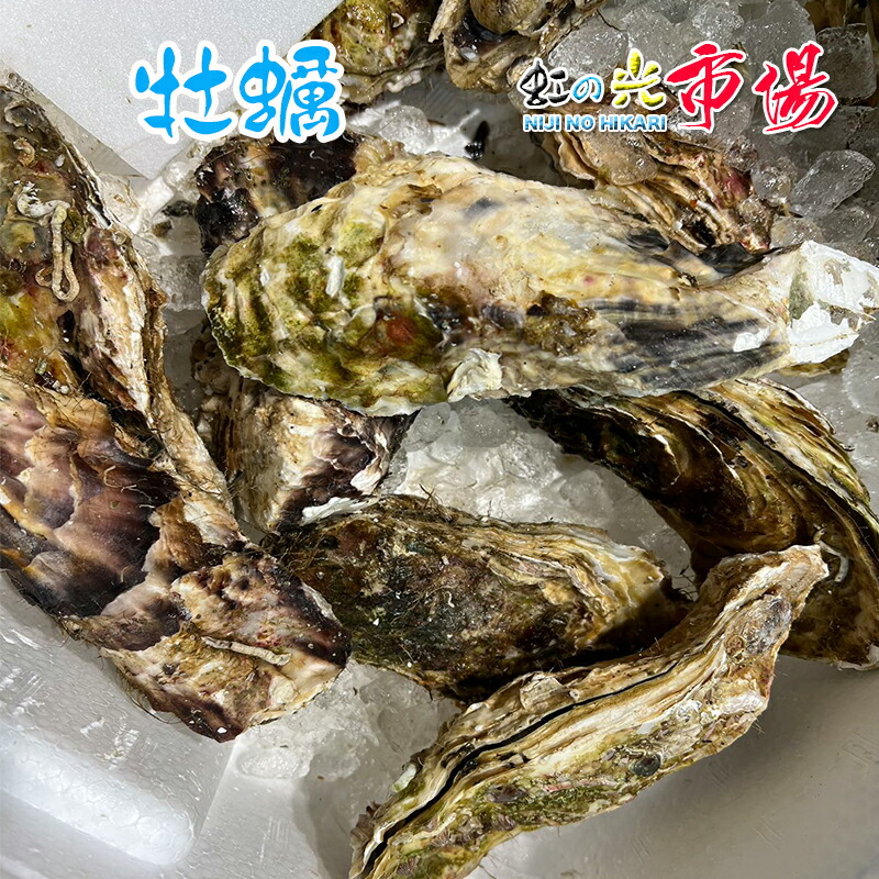カキ 殻付かき 30粒 牡蠣 旬の食材 海のミルク 完全栄養食品｜虹の光