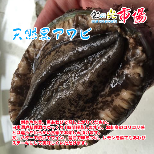 アウトレット 送料無料 国産 特大 天然 活 房州黒アワビ 1kg 1個あたり約0g アワビ あわび バーベキュー 貝 Fucoa Cl