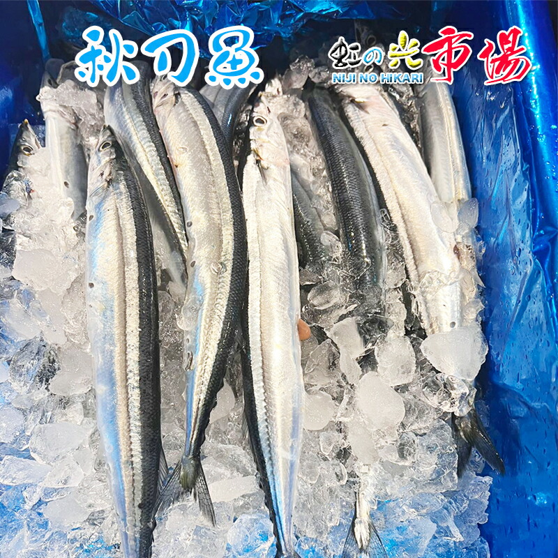 秋刀魚 秋刀魚開干 - 株式会社ショウマル下谷