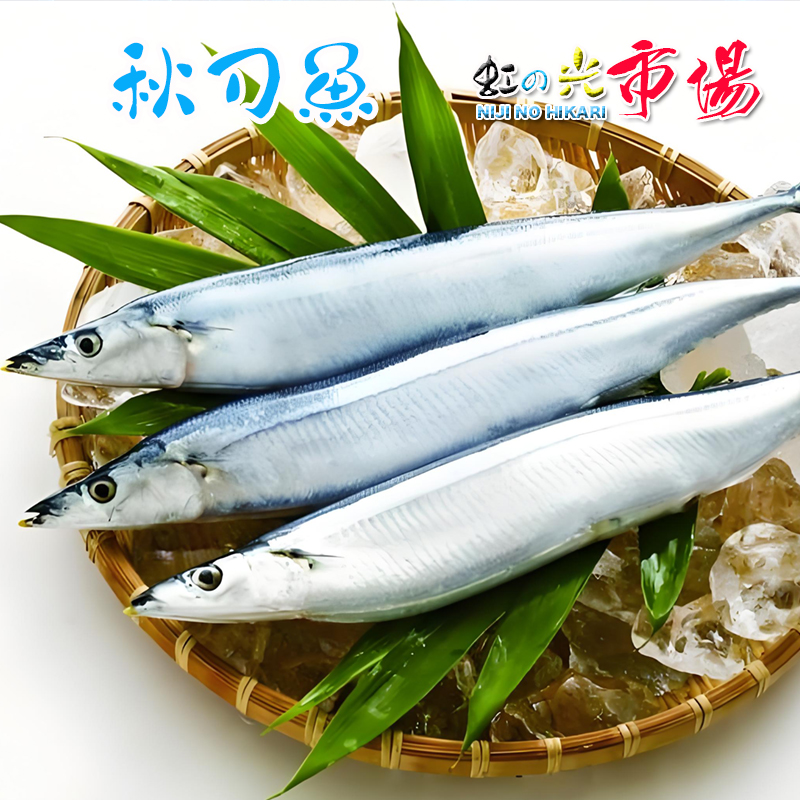 楽天市場】冷凍サンマ さんま 5尾 (1尾約130~150g) 秋刀魚 北海道 塩焼き 蒲焼き 唐揚げ 天ぷら : 虹の光