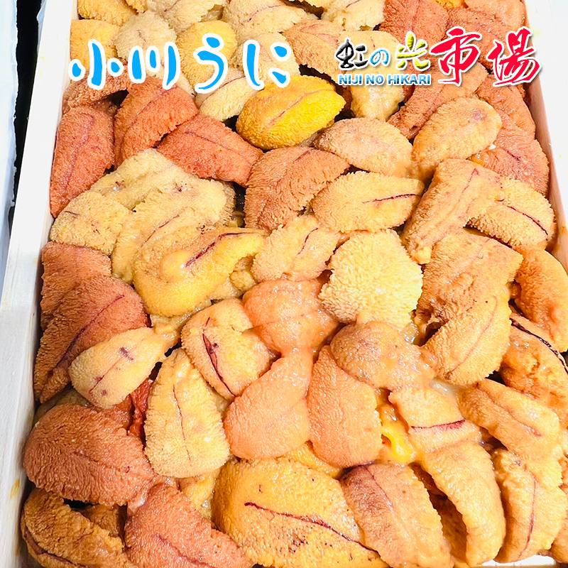 楽天市場】【大好評】生ウニ 小川のうに 約220~250g(一粒 約4cm-5cm