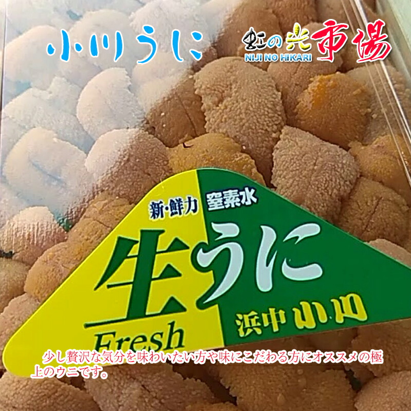 安価 生ウニ 小川のうに 約220~250g ロシア産 北海道産 ２パック fucoa.cl