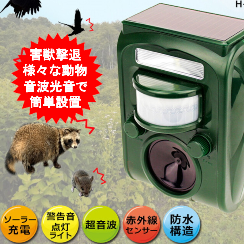動物 imgrc0091128806.jpg