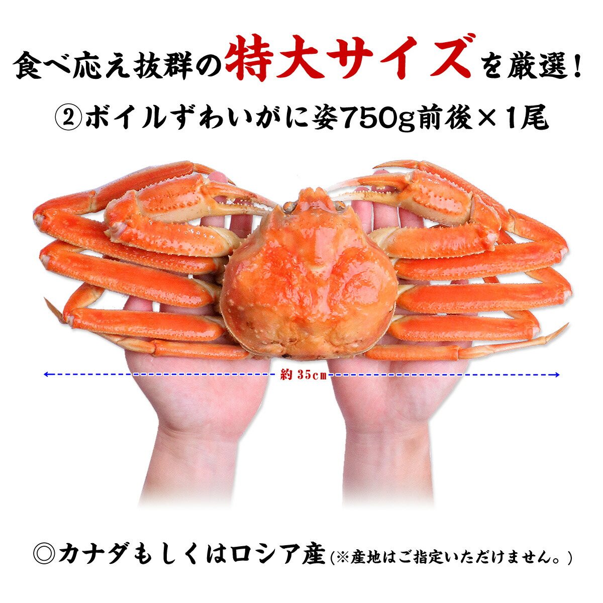 限定製作 タラバ蟹 ずわい蟹食べ比べセット ずわい蟹 たらば蟹 かに カニ 蟹 ギフト 二大蟹 送料無料 Fucoa Cl