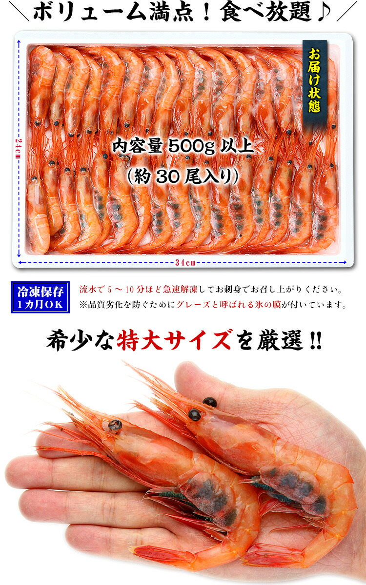 半額セールで送料無料1 999円 日本海の子持ち甘えび特大サイズ500g以上 約30尾入り