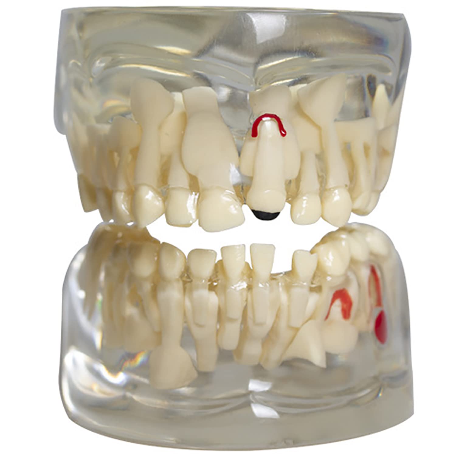 楽天市場】【☆エントリーP5倍+先着100円OFFクーポン 3/4-3/11】透明