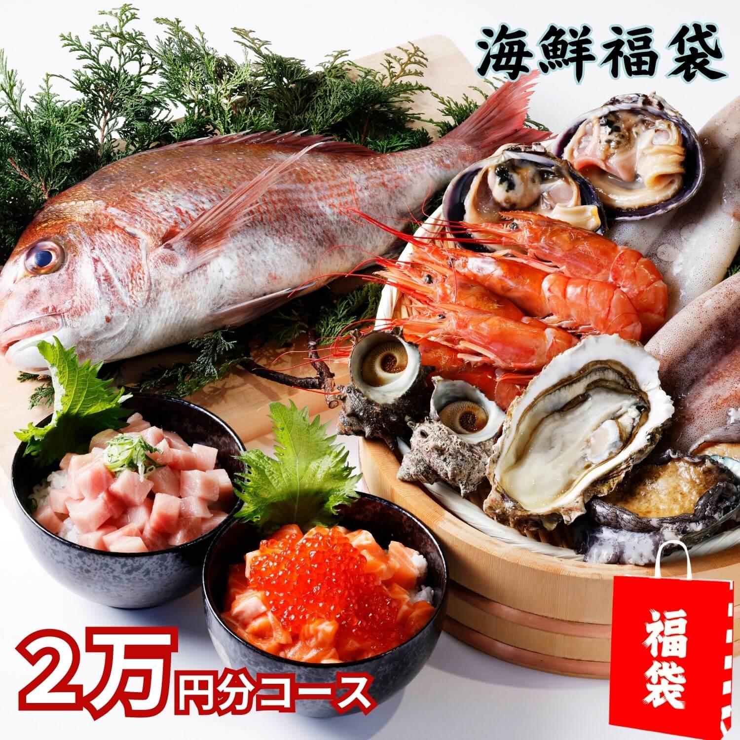 夏の豪華福袋 海鮮詰め合わせセット 2万円分 最高級 魚介 セット 20000円 早割 セット 贈り物 プレゼント 新年 内祝い 御礼 お礼  寒中見舞い 送料無料 熨斗対応 アワビ 鯛の塩釜 牡蠣 赤海老 北海道ホタテ 食品 早割 お中元ギフト お取り寄せグルメ 皓介楽天 ...