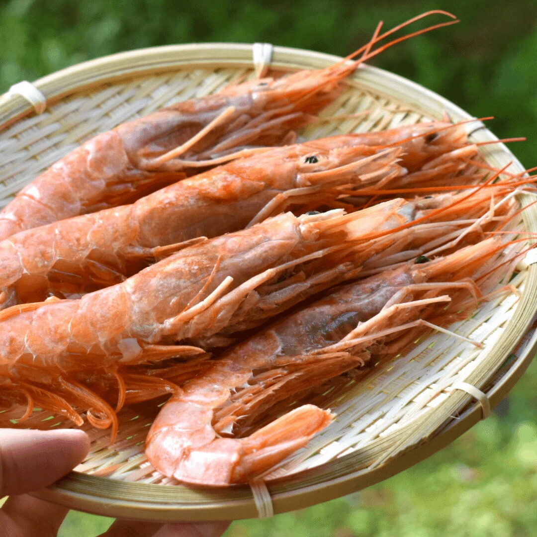 特選・特大赤エビ20尾 約1kg（生食 刺身OK）☆海鮮のプロが厳選・CAS冷凍で新鮮☆【送料無料】アルゼンチン産 海鮮バーベキュー おつまみ 業務用 自家用 誕生日 贈り物 プレゼント 海鮮丼 お誕生日