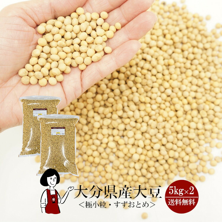 ☆大人気商品☆ アメリカ産 大豆 500g チャック付 materialworldblog.com