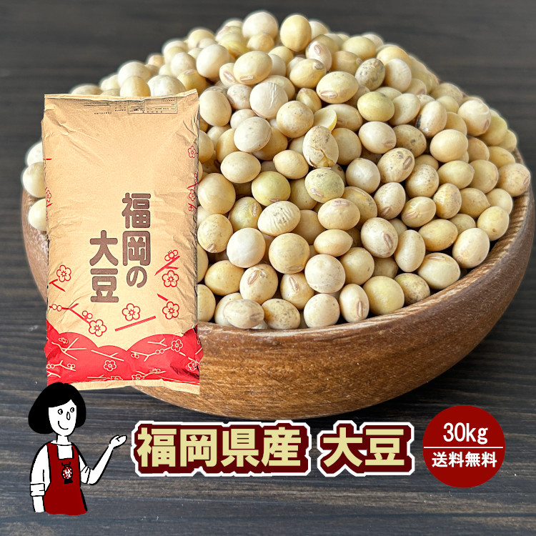 福岡県産大豆《3等級・小粒》30kg ／送料無料  大豆 ふくゆたか 食物繊維 機能性成分 乾燥豆 豆腐 豆乳 味噌 こわけや