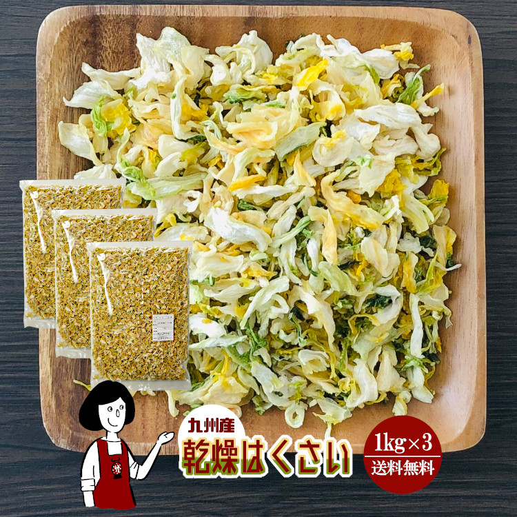 正規品 楽天市場 乾燥はくさい 1kg 3 九州産 乾燥野菜 白菜 宅配便 送料無料 九州産 国産 ボイル済み ドライベジ アウトドア キャンプ 保存食 時間短縮 スープ こわけや こわけや 保存版 Lexusoman Com