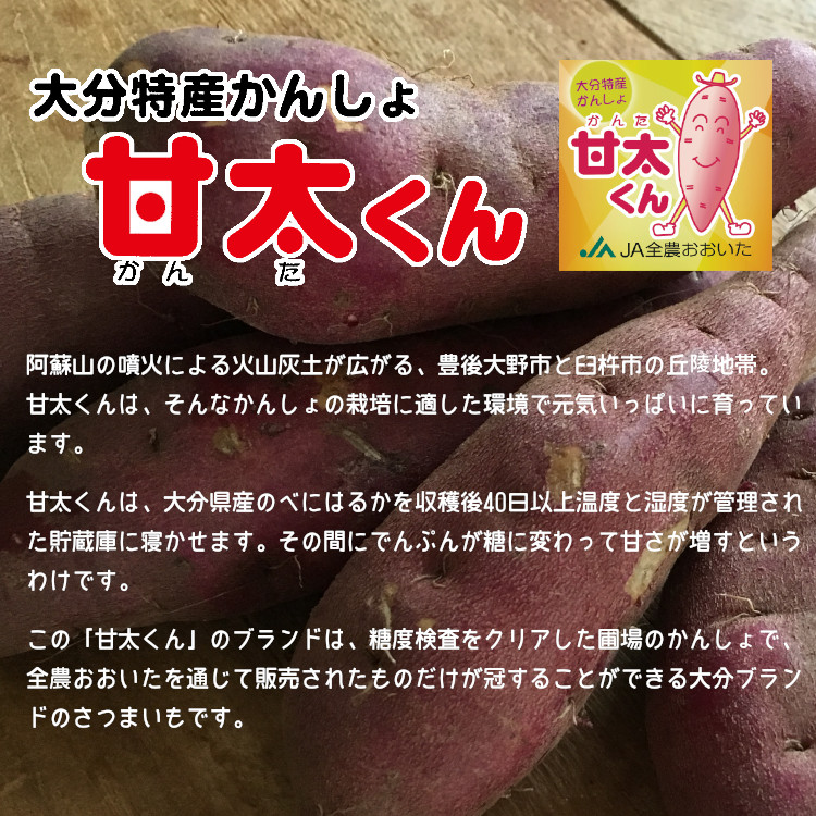 新品 冷凍 甘太くんそのまんまペースト 1kg 5 計5kg クール便 送料無料 べにはるか さつまいも 甘藷 サツマイモ 新しい到着 Lexusoman Com