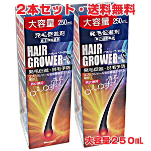 【2本書き割り】【第(2)類飲み薬】心の臓ショッピングセンター ヘアーグロアーS 250ml×2個  頭皮の脂を合わせるする田村治照堂の発毛推しすすめる剤脱毛症、抜け毛、薄毛、脱毛の止めることd2rui 10P06jul13 【RCP】