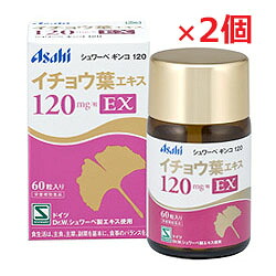 ★貨物輸送無料・2個書き割り★シュワーベギンコ120×2個（公孫樹葉抽出エキス）60粒 【RCP】  【RCP】【コンビニエンスストア受け取り証書相応う商いもの】