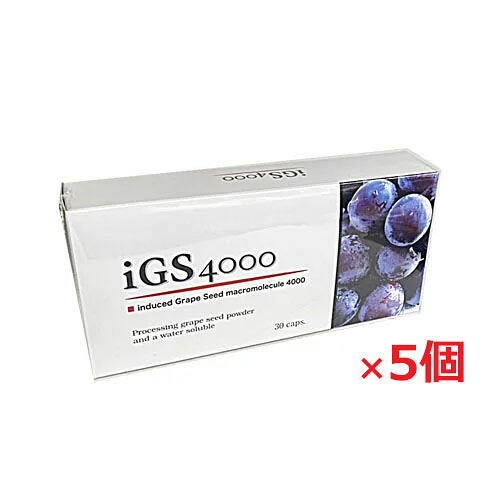 【5個セット】フィジカル iGS4000 7.8ｇ[1カプセル重量260mg(1カプセル内容量214mg)×30カプセル]【s-s1】