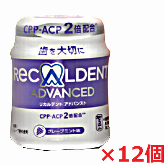 【12個セット】歯科医院専用リカルデントガム グレープミント味 140g&times;12個｜ヘルスケア　コヤマ
