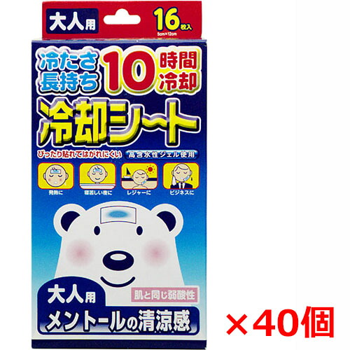 【40個書き割り】【日本製】冷やかす腰掛け 成年者用  16枚（2枚×8包）（熱のある状態に 寝苦しい夜に 余暇に）
