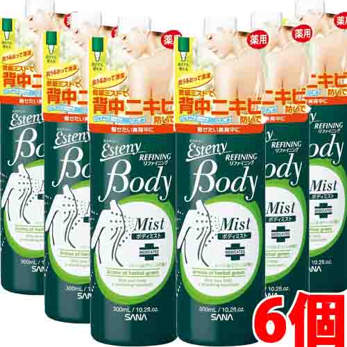 【6個】サナ　エステニー　薬用ボディミスト　ＡＣ（医薬部外品） 300ml×6個