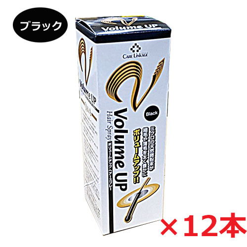 送料無料 12本セット 細毛 薄毛をボリュームアップヘアスプレー ブラック 0g 薄毛隠しスプレー コンビニ受取対応商品 Psicologosancora Es